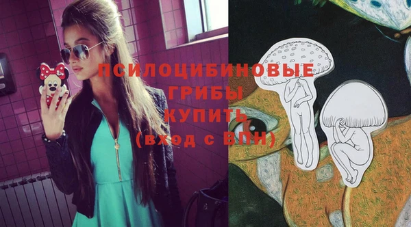 меф Няндома
